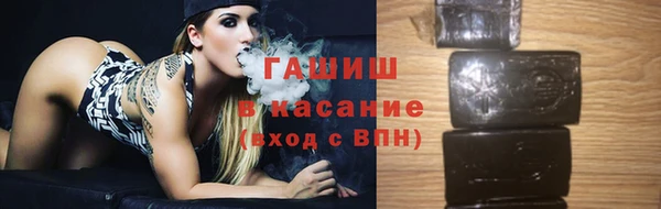 стаф Каменногорск