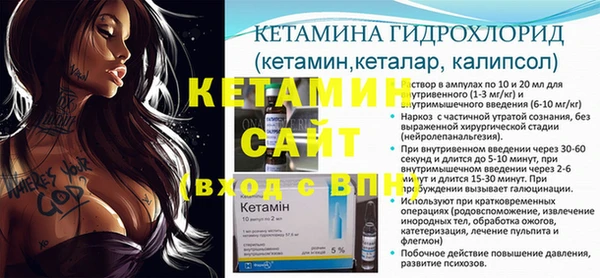 стаф Каменногорск