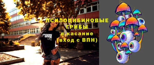 mdpv Янаул