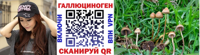 Псилоцибиновые грибы ЛСД  Сураж 